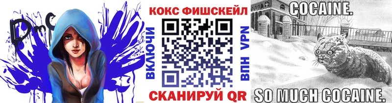 COCAIN Fish Scale  как найти закладки  Монино 